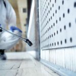 Verified best pest control services in Delhi for villas