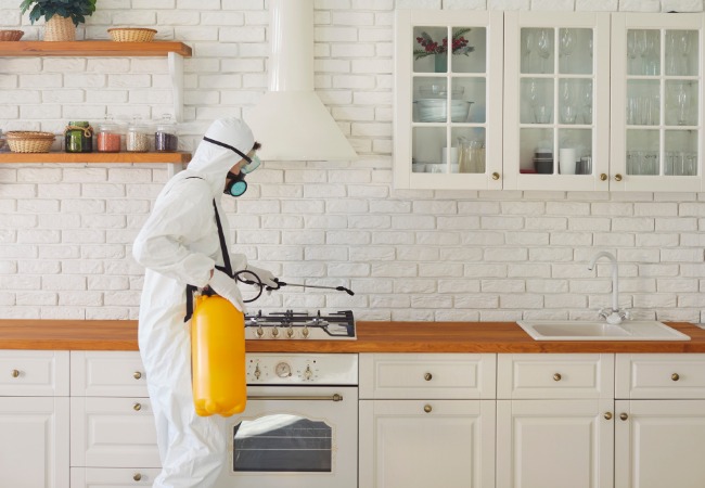 herbal pest control south delhi