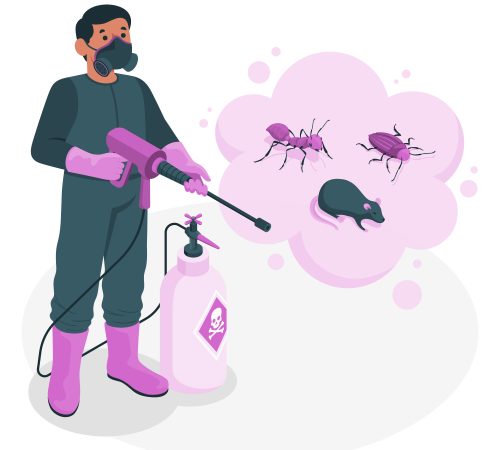 Best Pest Control Services in Noida